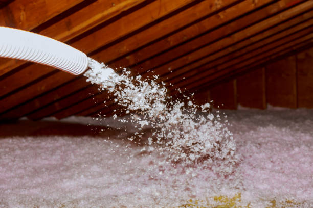 Best Specialized Insulation Services in Homer Glen, IL