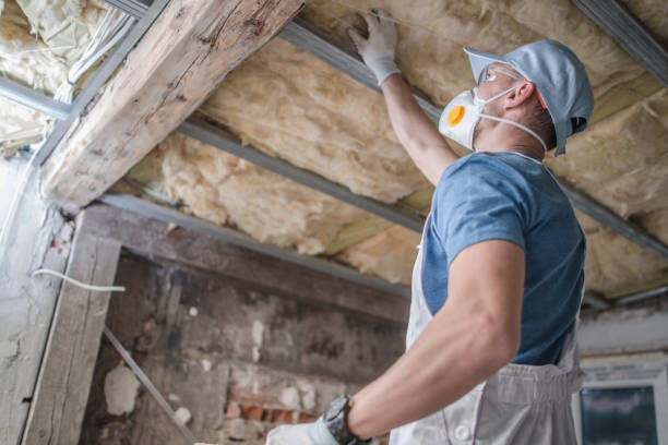Best Fiberglass Insulation in Homer Glen, IL